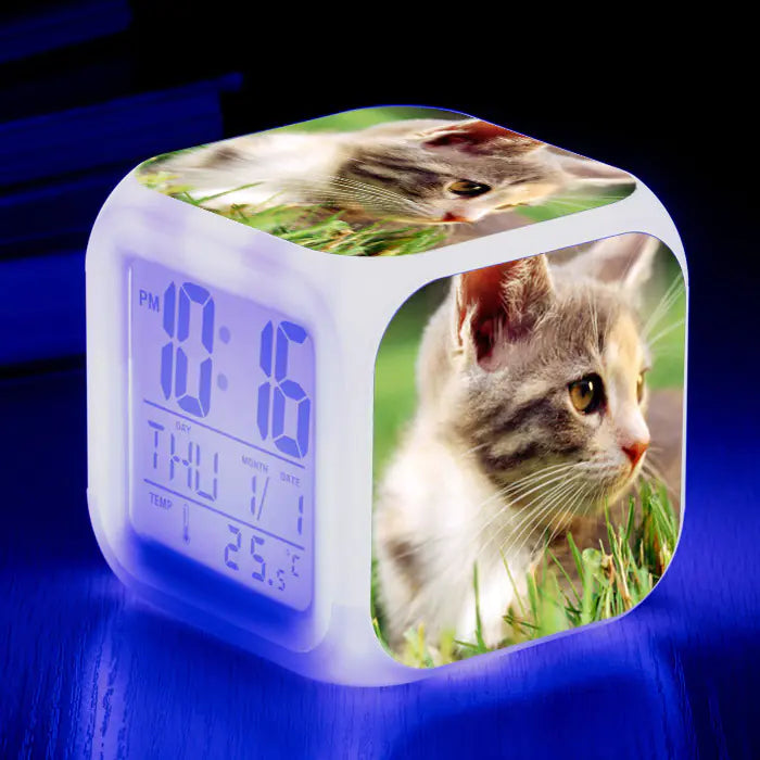 Cute Animal Cat-themed Colorful Square Alarm Clock