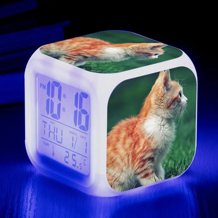 Cute Animal Cat-themed Colorful Square Alarm Clock