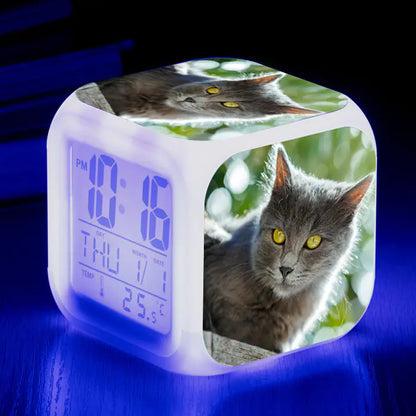 Cute Animal Cat-themed Colorful Square Alarm Clock