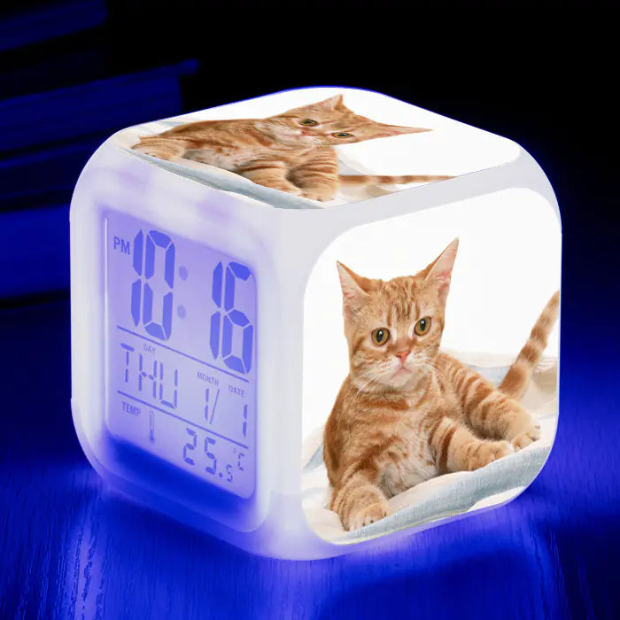 Cute Animal Cat-themed Colorful Square Alarm Clock