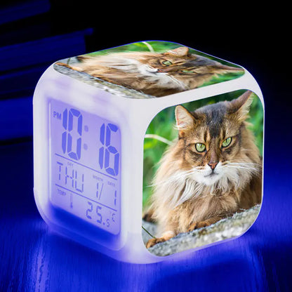 Cute Animal Cat-themed Colorful Square Alarm Clock
