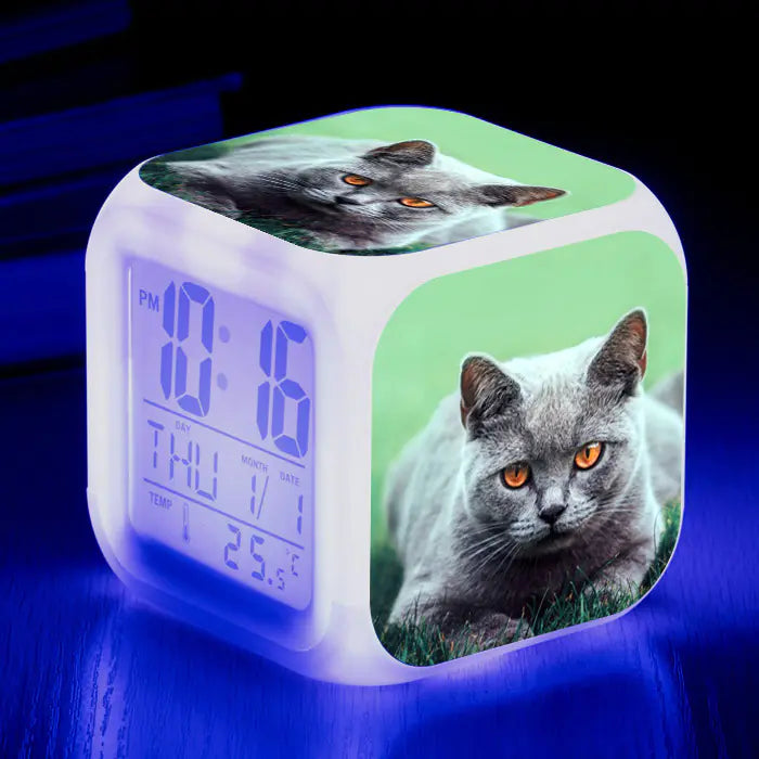Cute Animal Cat-themed Colorful Square Alarm Clock