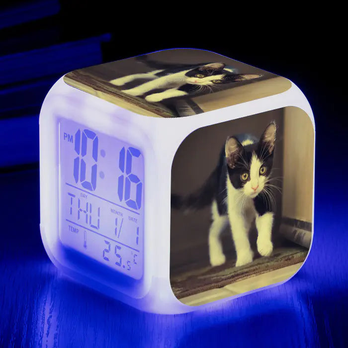 Cute Animal Cat-themed Colorful Square Alarm Clock